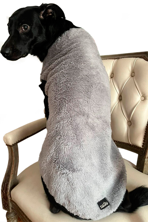 Buzo para mascota Sanity Protect